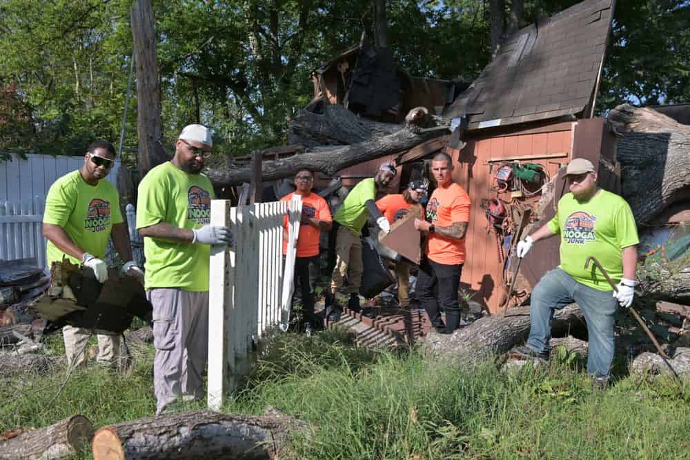 Yard Debris Removal image