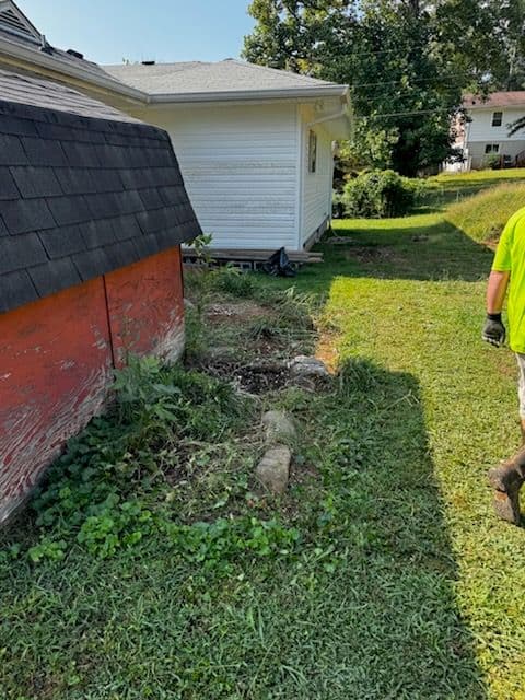 Project Efficient Backyard Debris Removal Services image
