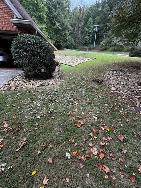 Autumn Cleanup Success with Appliance and Furniture Removal