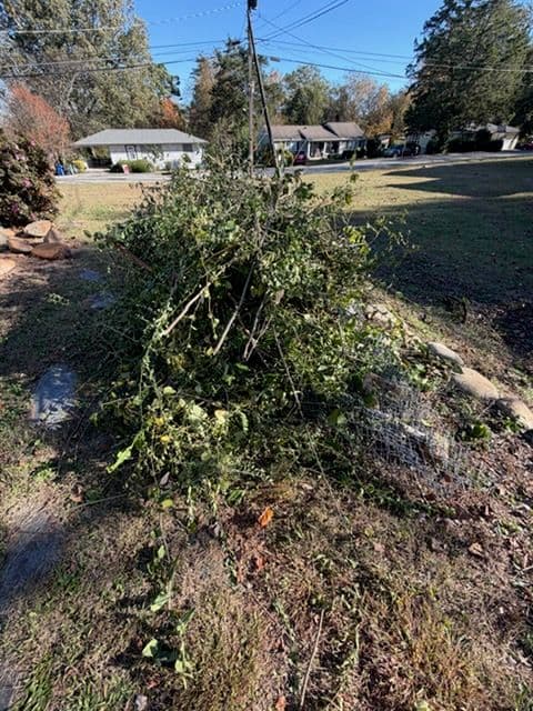 Project Yard Clean-Up at Its Best image