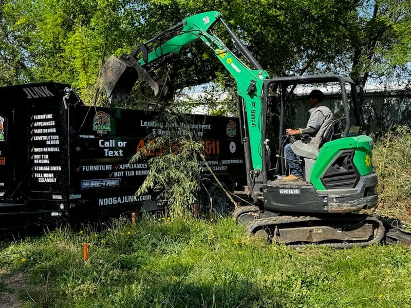 Concrete and Tree Debris Removal