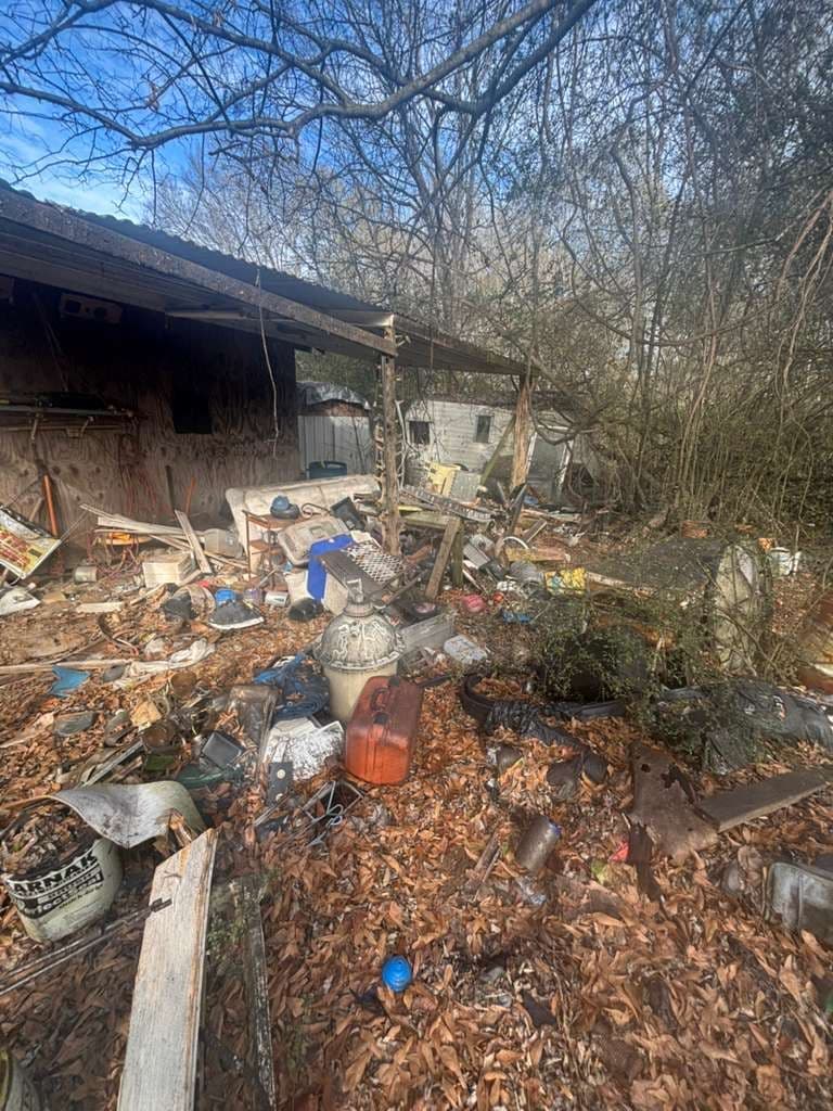 Gallery photos for Yard Debris and Junk Removal Mastery: Image #1