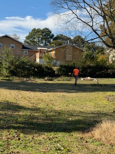 Gallery photos for Yard Clean-Up at Its Best: Image #1