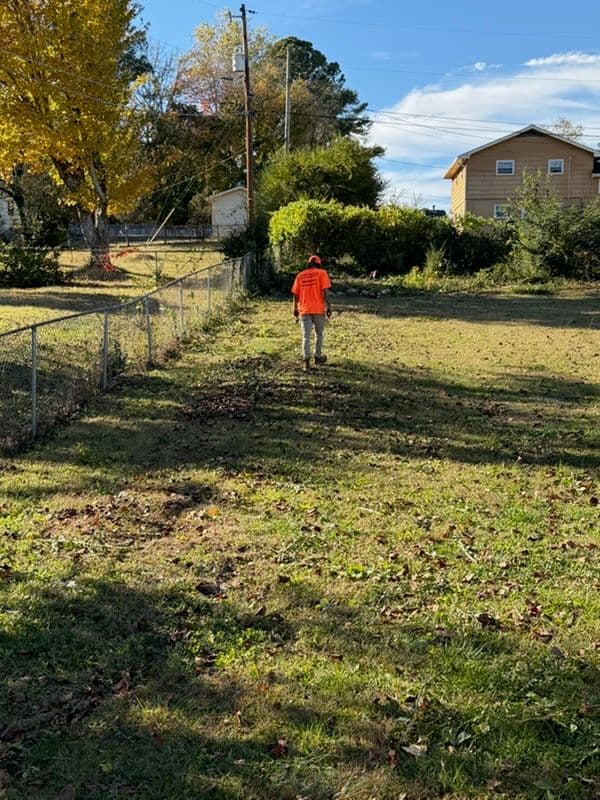 Gallery photos for Yard Clean-Up at Its Best: Image #2