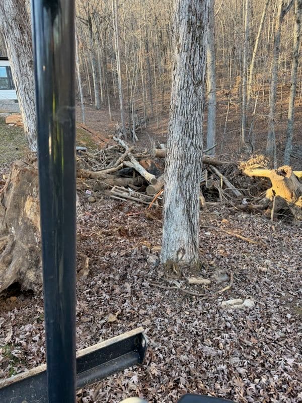 Expert Tree Debris Removal by Nooga Junk image