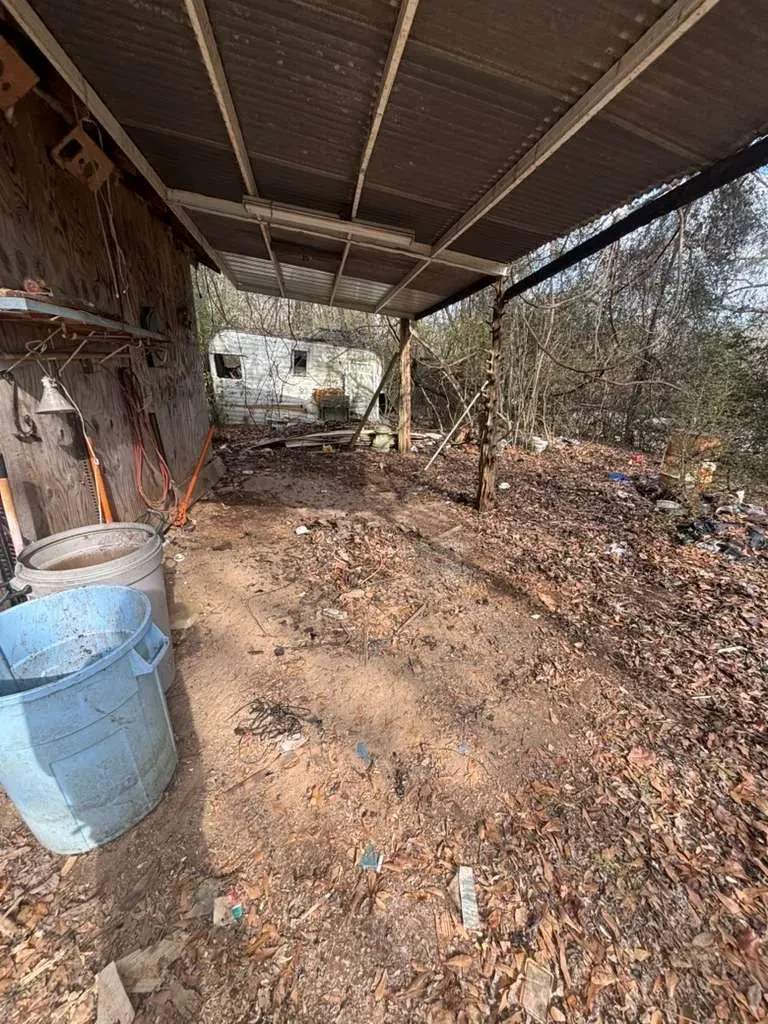 Overgrown lot before cleanup